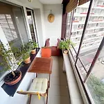 Yellow Sofa * Братислава